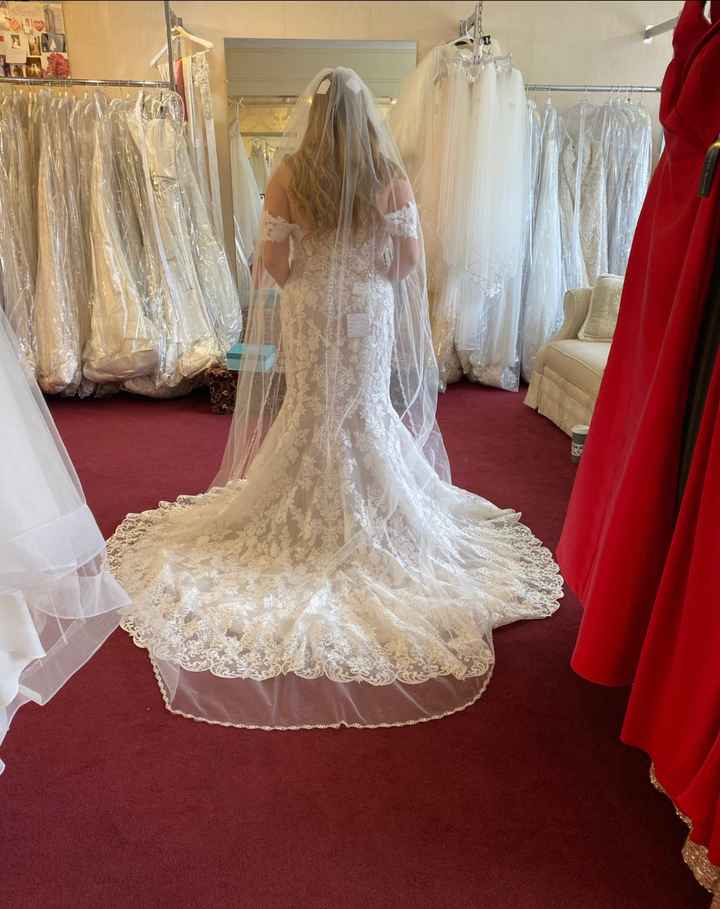 Wedding Dress Style Help (show me your dresses :) ) - 1