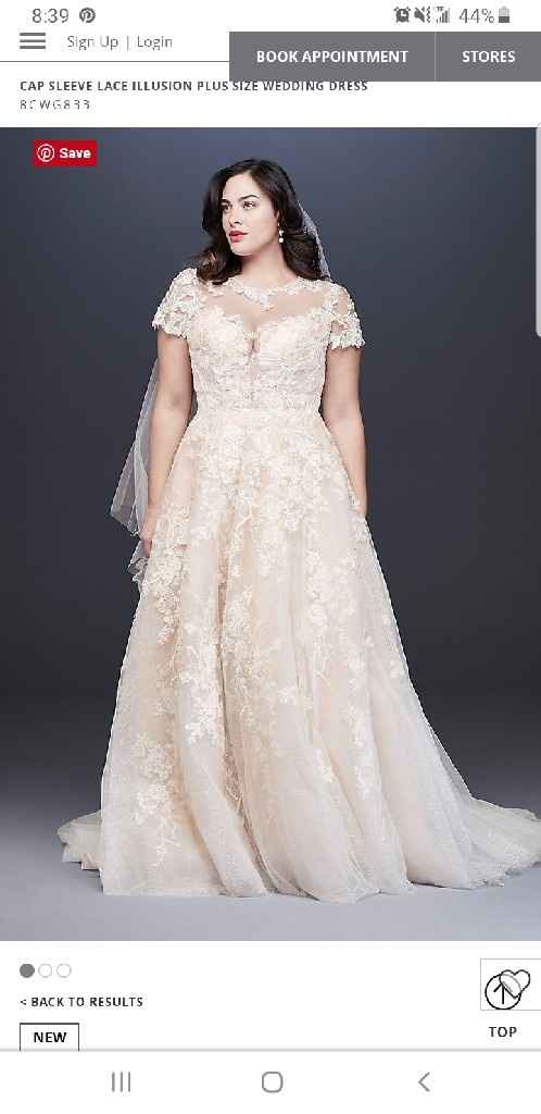 i found my dress! Second opinion needed on possible alterations - 1