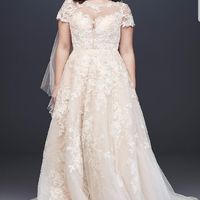 Are you wearing a ball gown?? - 1