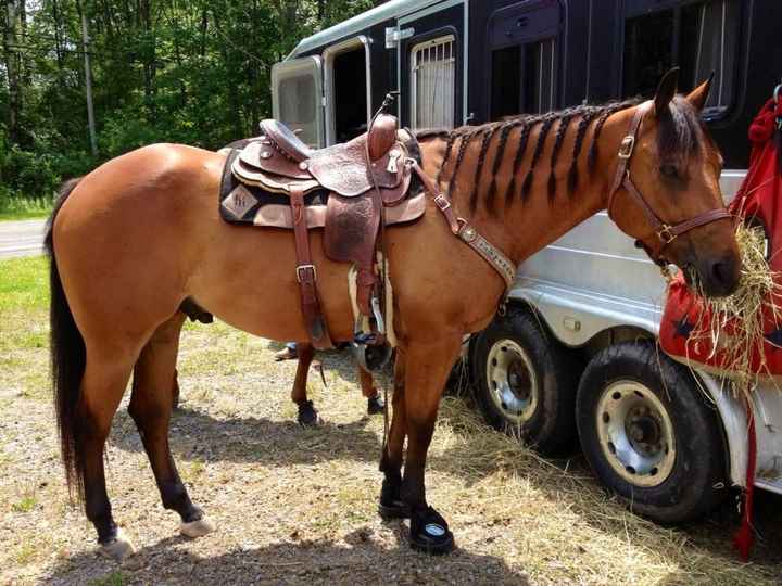 Show me your fur baby! (it has been awhile and I love seeing the pets!)