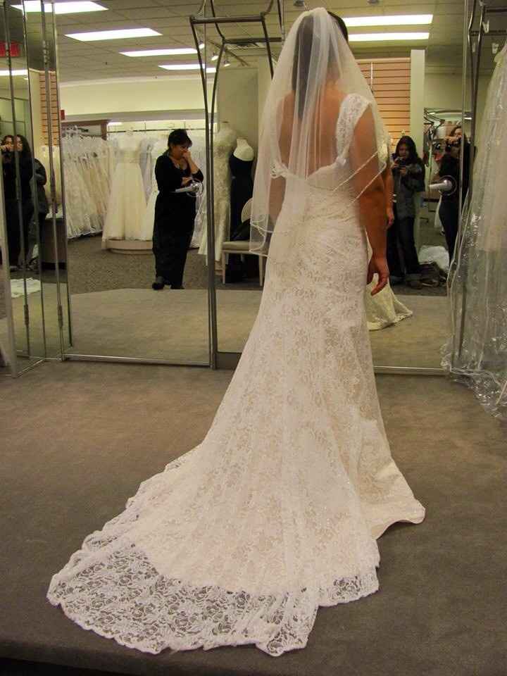 October/November Brides...let's see your dresses!