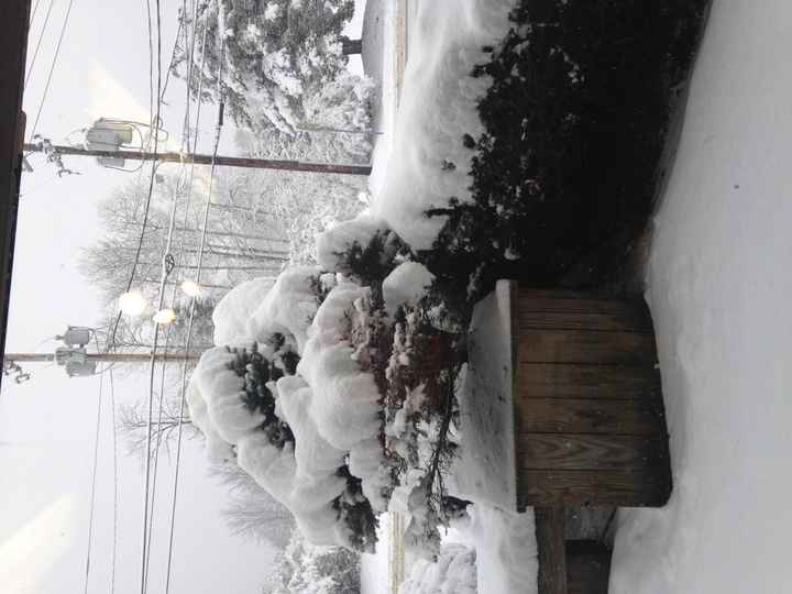 NWR Spinoff:  Show me your "view"!