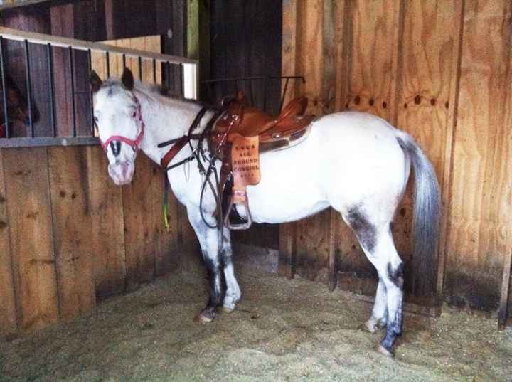 Its Fursday! Show me your furbabies! :)