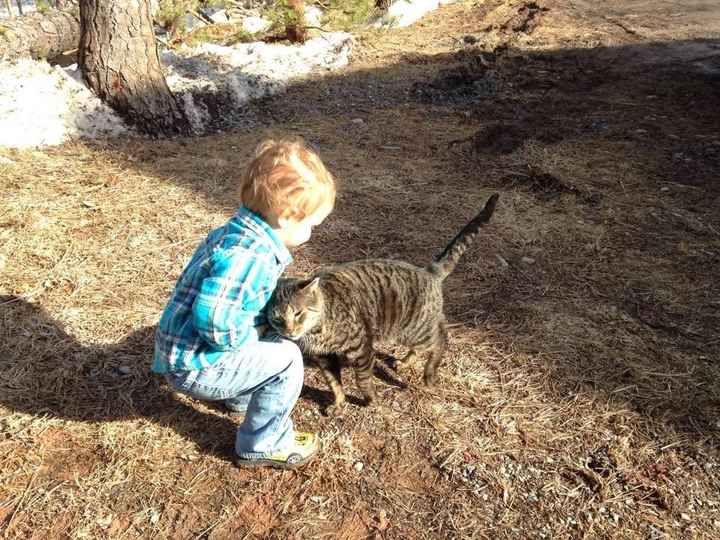 NWR Happy Fursday! Show me your fur babies!