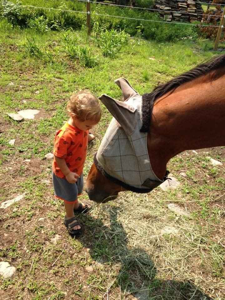 NWR Wait.....This looks familiar... (furbaby!)