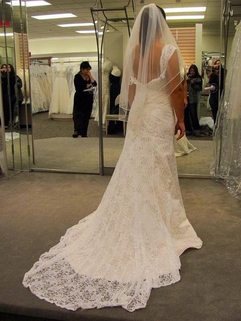 Show me your Davids Bridal dresses:)