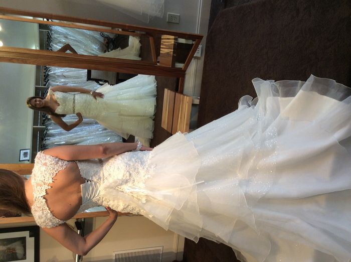October/November Brides...let's see your dresses!