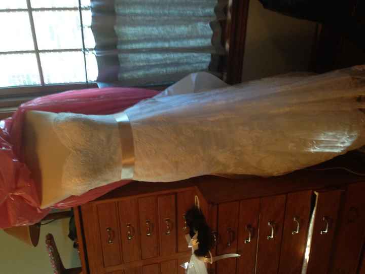 Which ribbon for my belt?