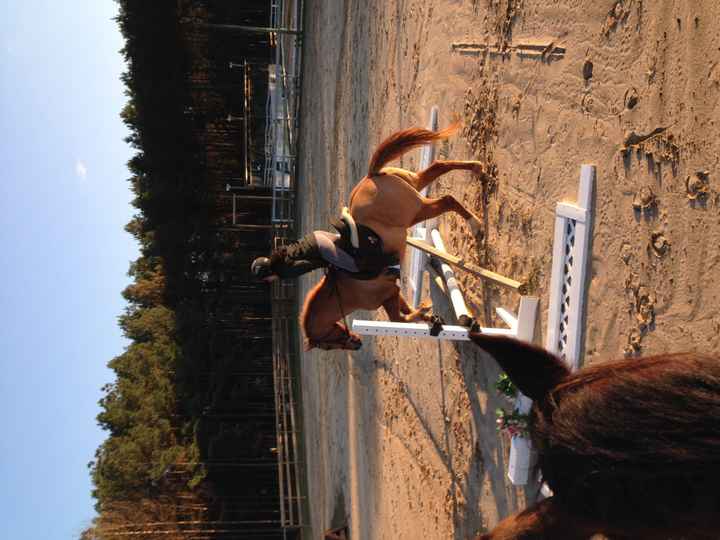 What are your hobbies?