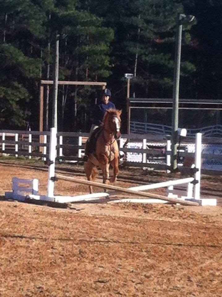 NWR: Hobbies anyone?