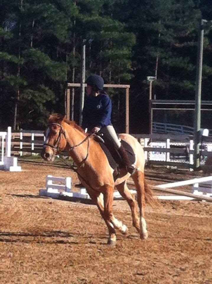 NWR: Hobbies anyone?