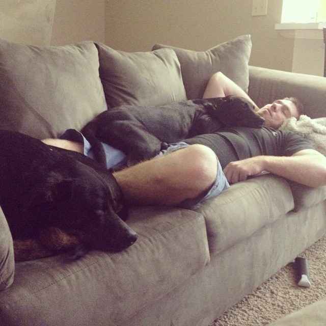 NWR: Pets that do kid-like things