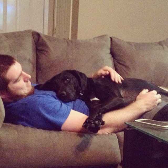 We havent had a pet post in a minute.