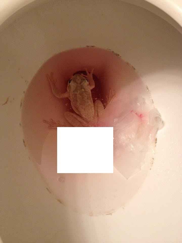 What is the craziest, tackiest, or rudest thing you have seen...