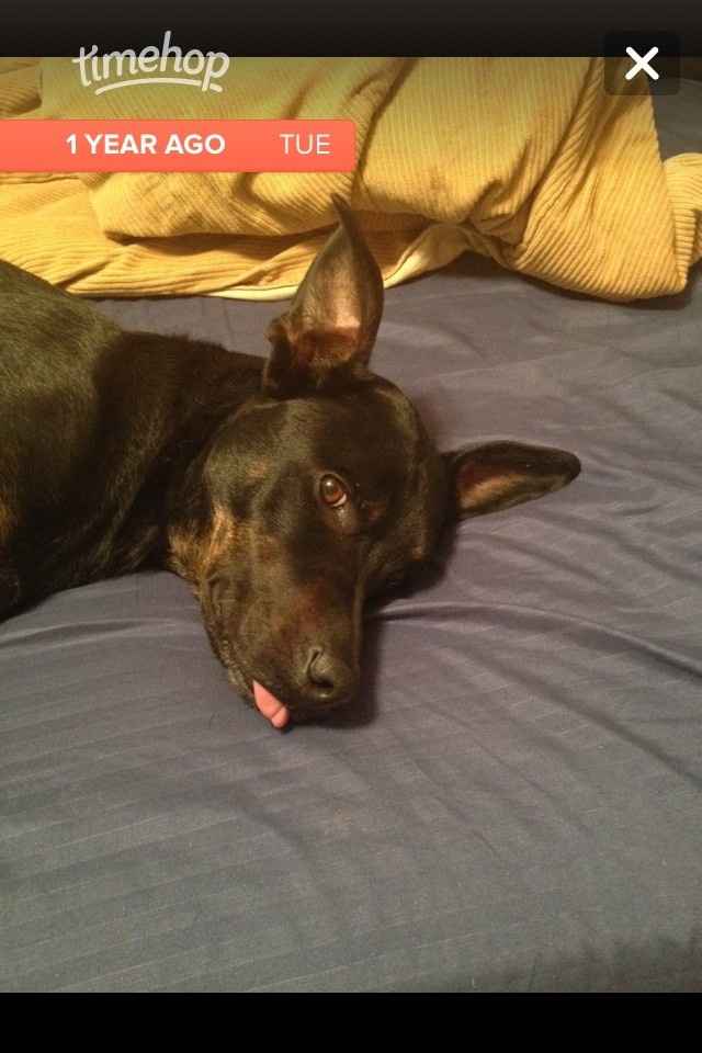 NWR: Mrs. A & J - This one's for you!!