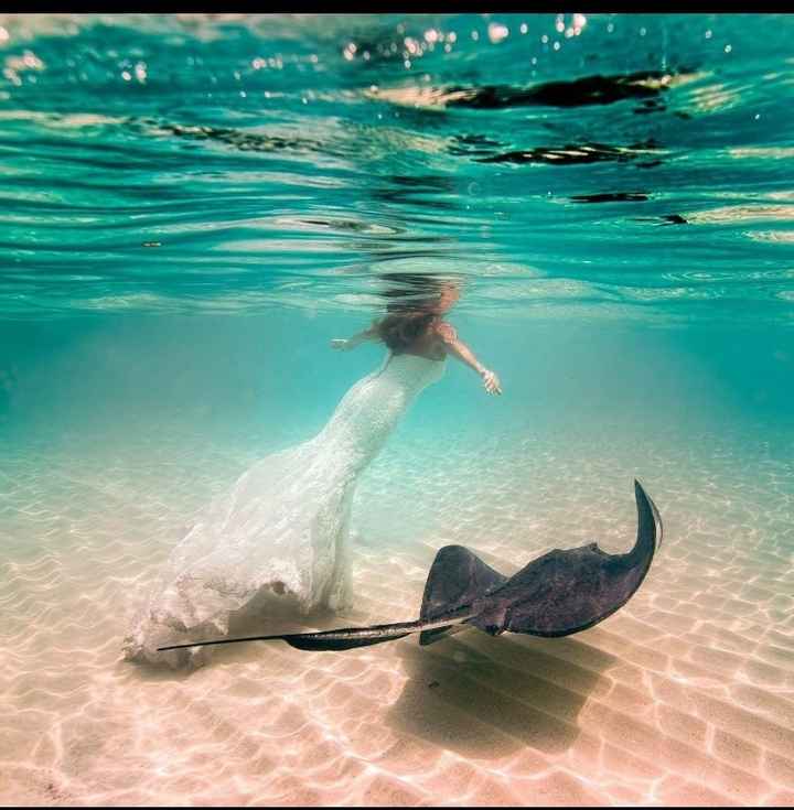 Another bride nearly drowns in the name of "Trashing the Dress"