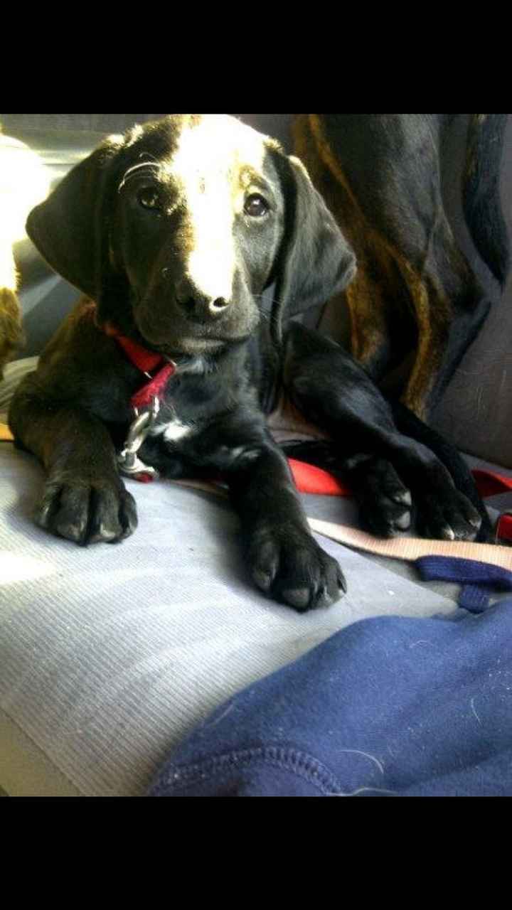 NWR: Meet the newest member of our family!