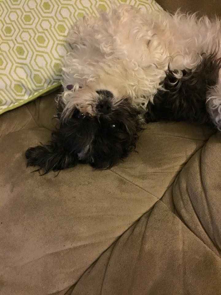 NWR: Show me your pups!