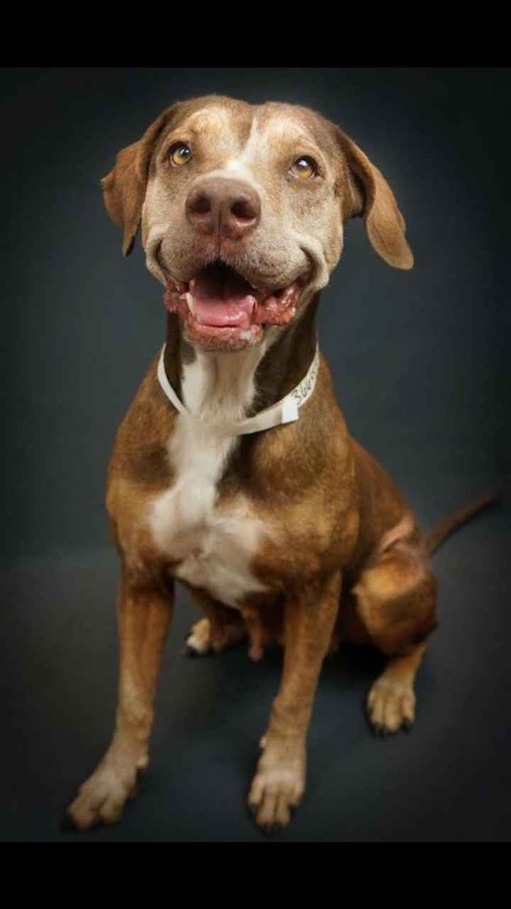 I guess I can say it now...