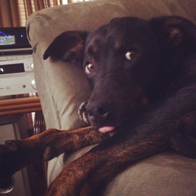 NWR- Furbaby Friday