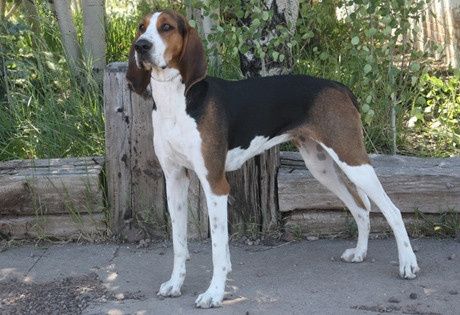NWR- Furbaby Friday