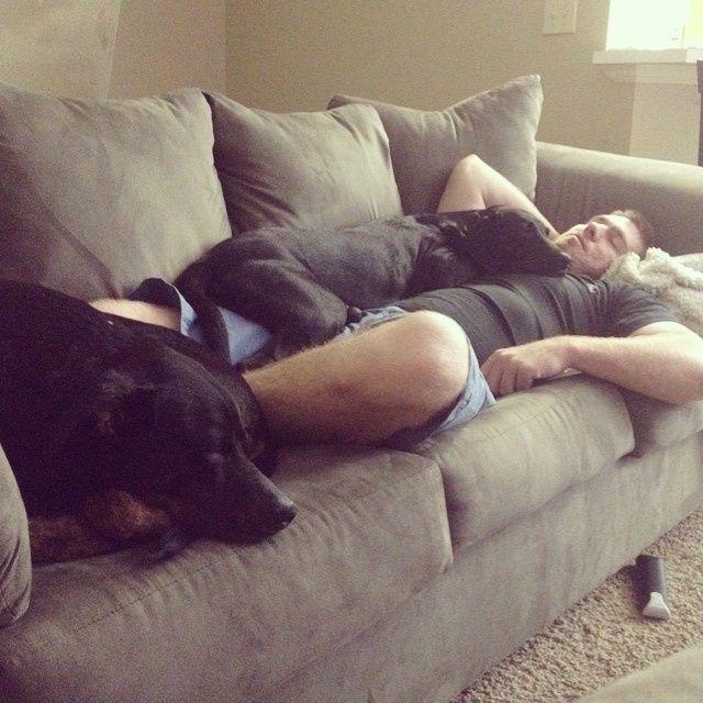 NWR: Pets that do kid-like things