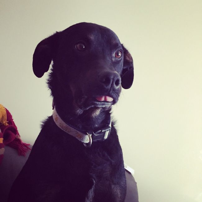 NWR: Happy Furry Fursday, let's see them fur babies!