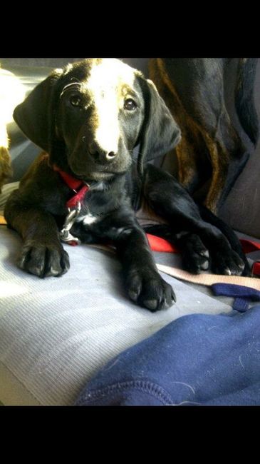 NWR: Meet the newest member of our family!