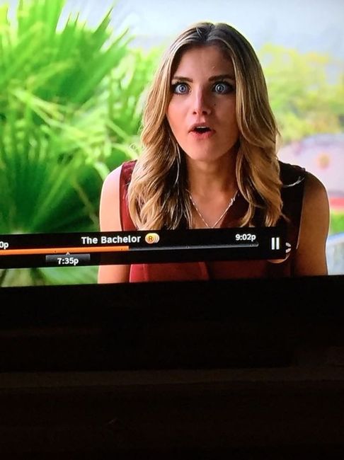 The Bachelor is on!