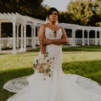 Bam- Back and Married 11/15/2020 - 3