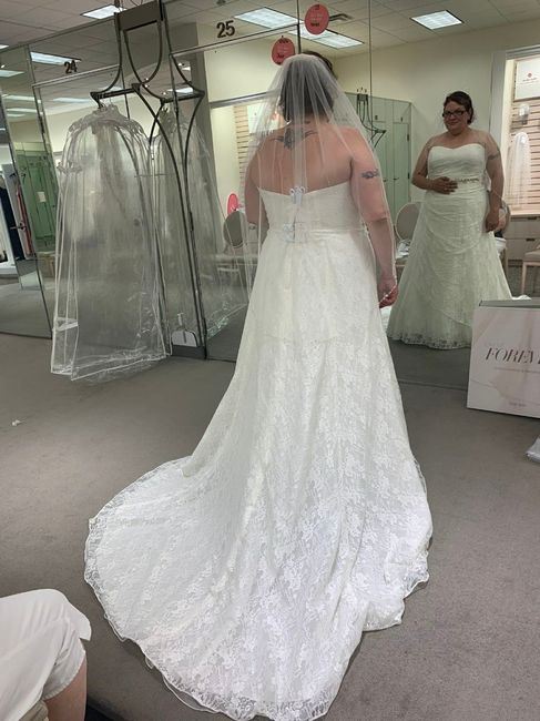The back