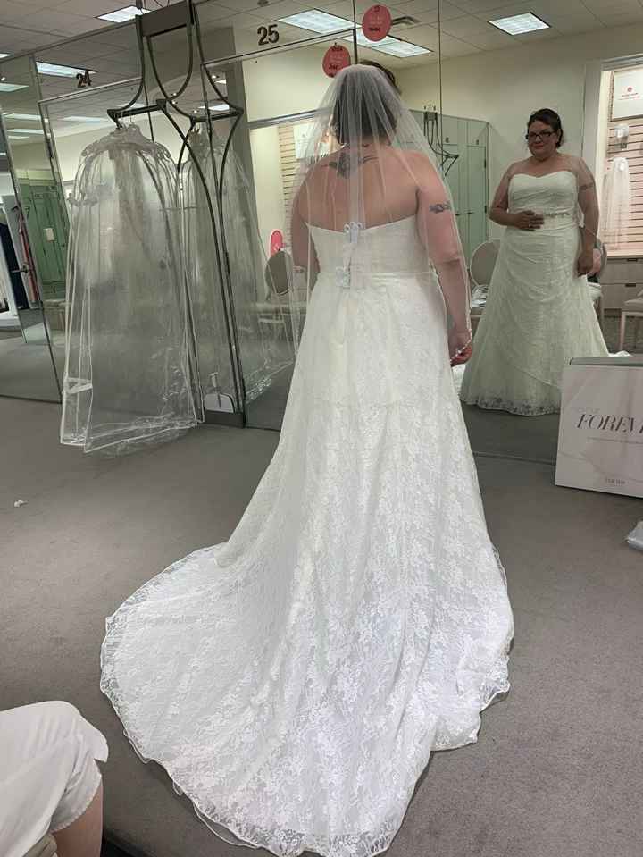 The back