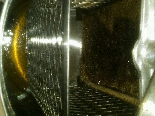 Stealing some honey for our wedding  (pics)