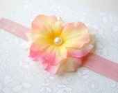 DIY ideas for cenerpeices, need help!