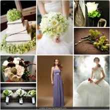 Honestly the drama the past few months on this website ...