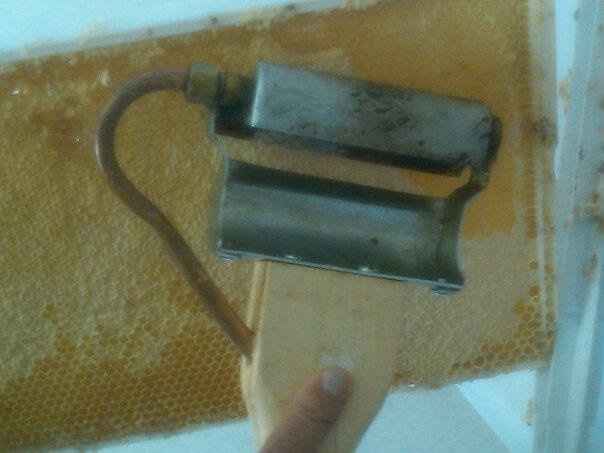 Stealing some honey for our wedding  (pics)