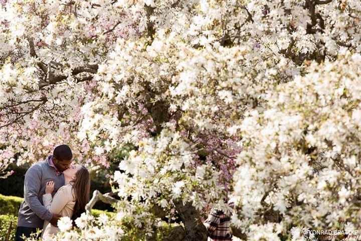 Help!!!! "Spontaneous" Engagement Photo Session... UPDATE