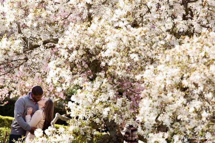 "Spontaneous" Engagement Session Update! More Pics page 2