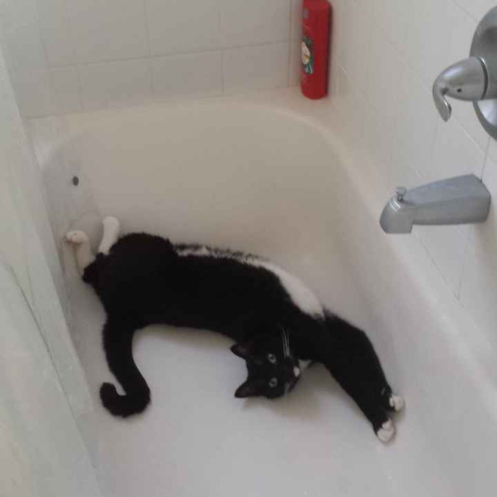 NWR Happy Fursday!!!