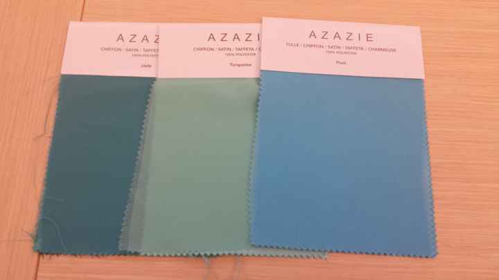 BM Dress Color Help!