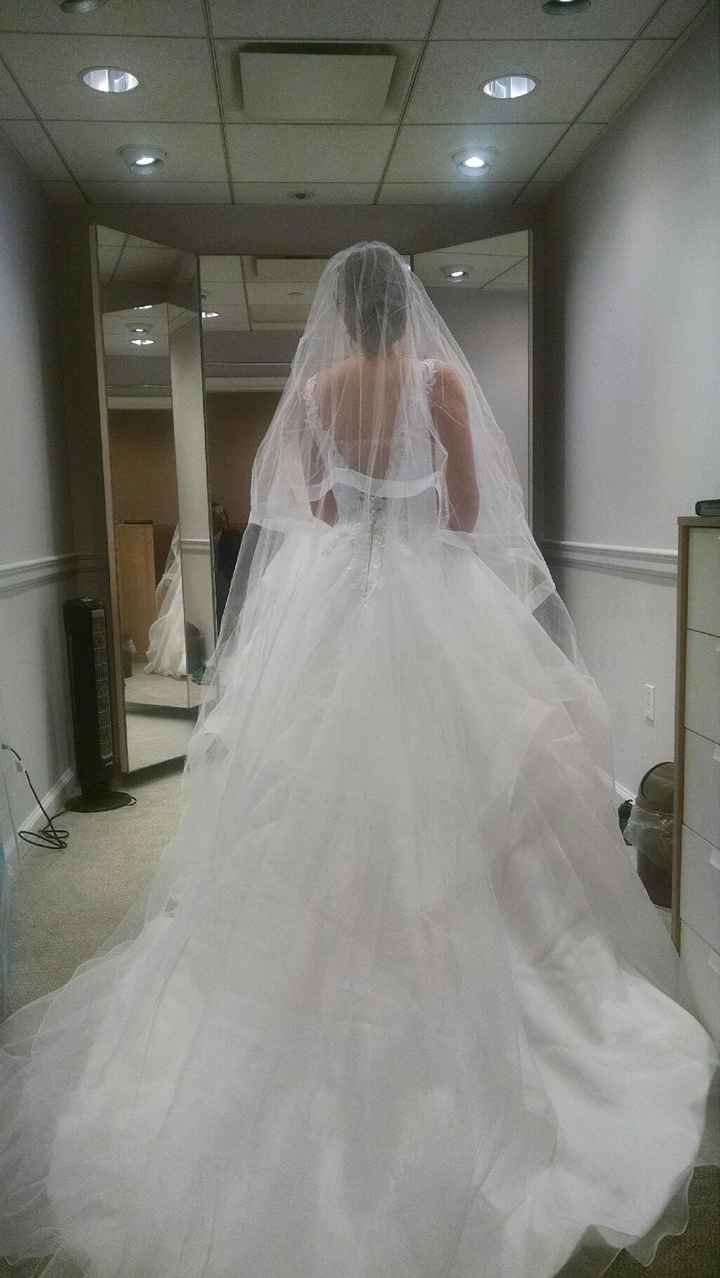 First Dress Fitting!!