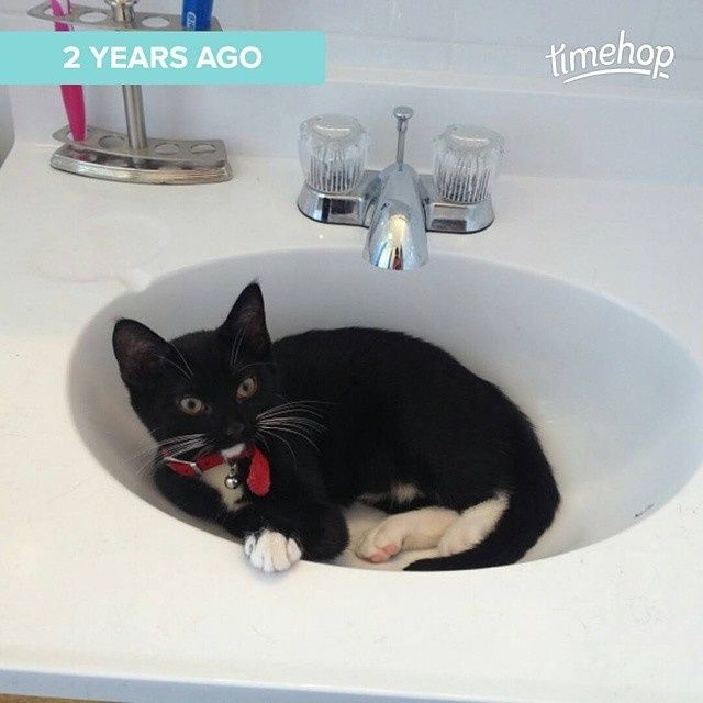 NWR: Happy Fursday!