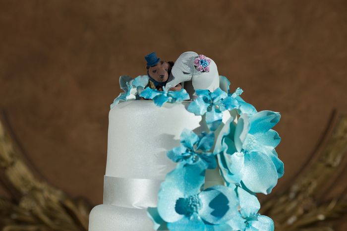 What kind of cake topper did you go with?
