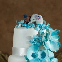 What kind of cake topper did you go with?