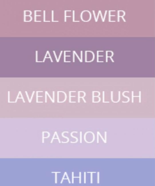 Bridesmaid Dress Color/ Colors 4