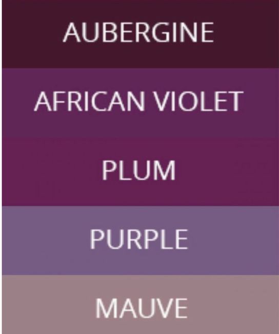 Bridesmaid Dress Color/ Colors 5
