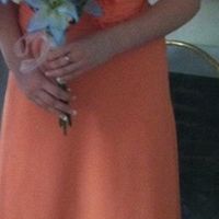 Bridesmaids Dresses with pic..need shoe advice please