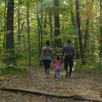 Road to Ceremony Site Decor? - 1