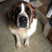 NWR: Show me your pups!