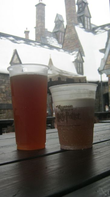 NWR: Anyone been to Universal's Harry Potter world?